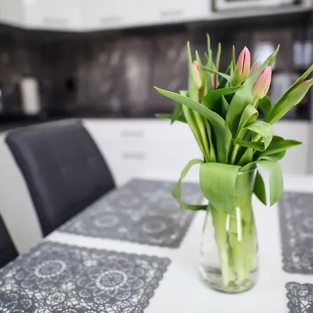 Apartamenty Sun & Snow Kopernika Misdroy Exterior foto